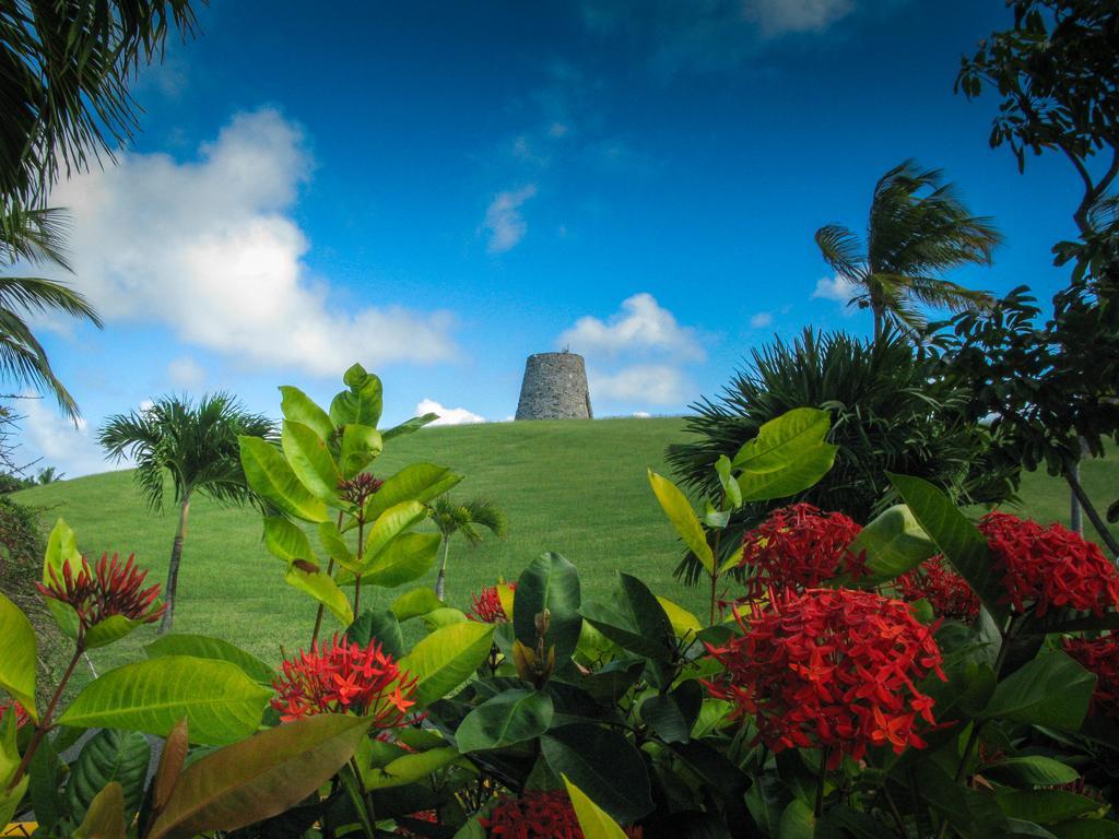 Tamarind Reef Resort Spa & Marina Christiansted Exterior foto