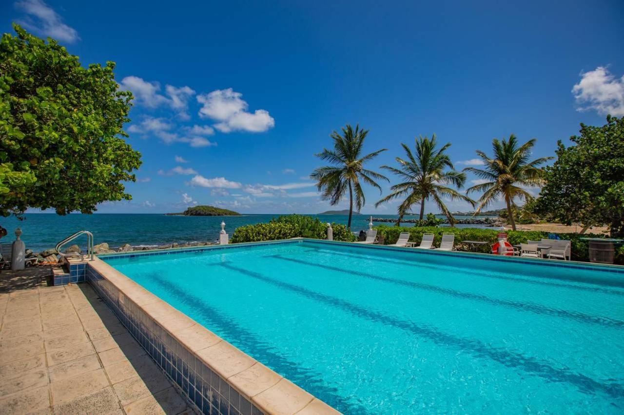 Tamarind Reef Resort Spa & Marina Christiansted Exterior foto